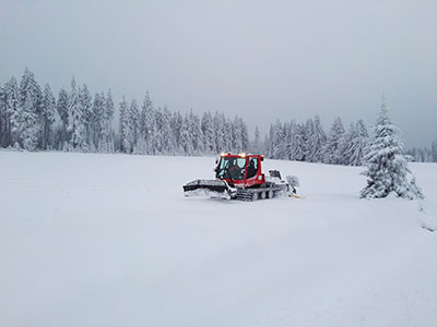 Jagodna